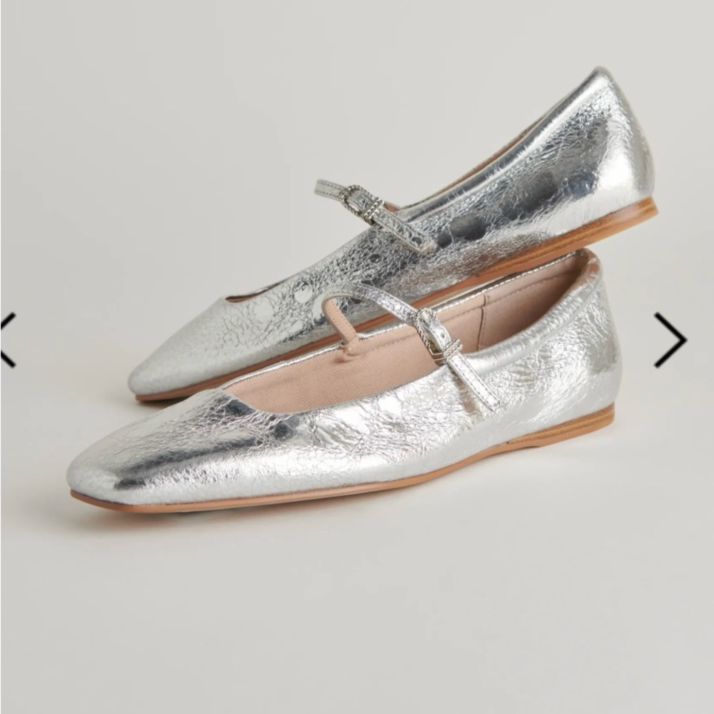 Dolce vita Reyes silver ballet flat